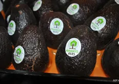 Versselect heeft sinds kort ook een eigen private label waarmee ze mango's en avocado's mee importeren.